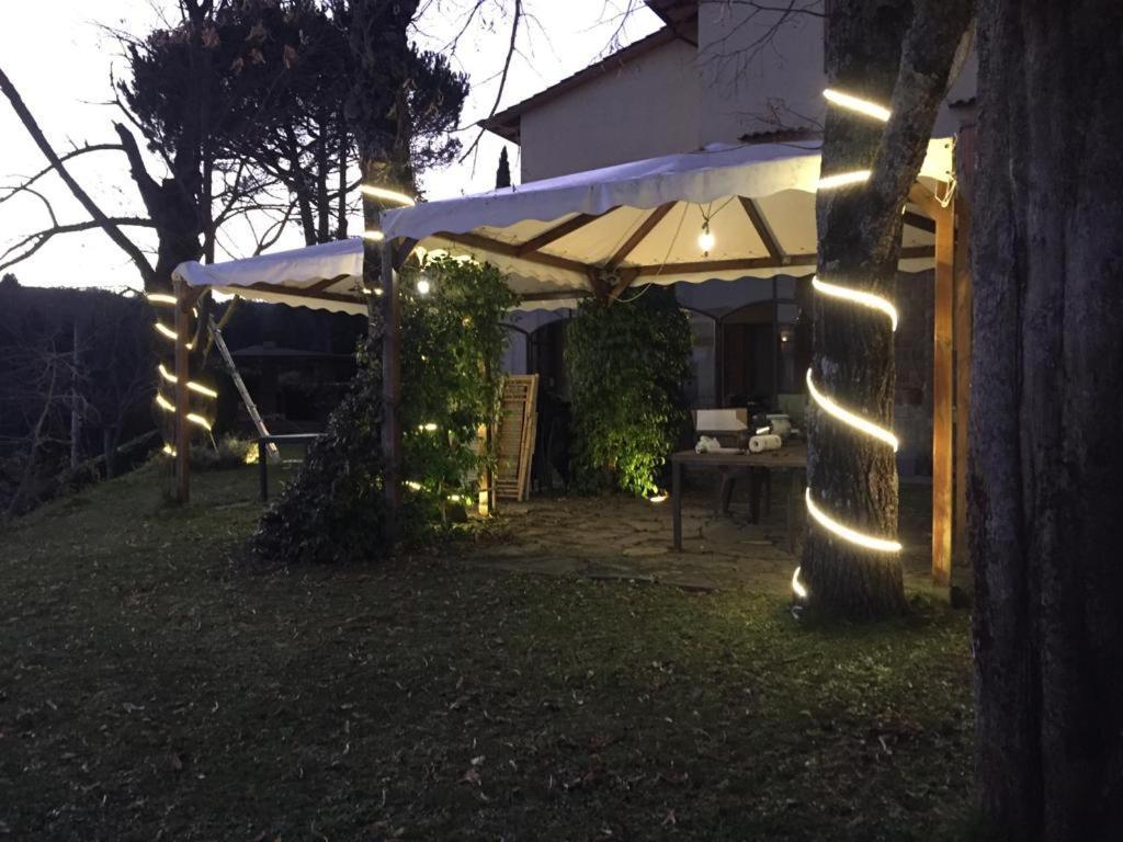 大罗纳德片德帕帕酒店 普拉托韦基奥 外观 照片